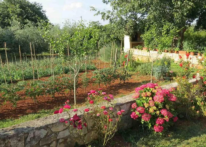 Mariza * Rosini