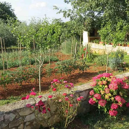 Mariza * Rosini