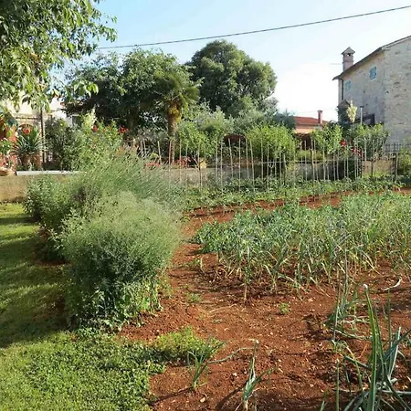 Mariza Апартаменты Rosini